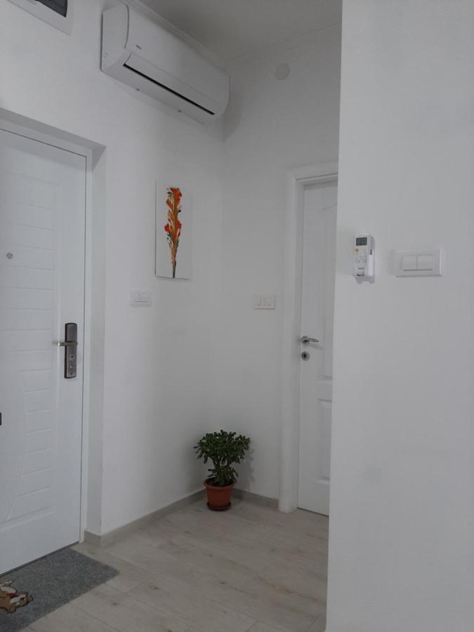 Apartments Ogurlic Herceg Novi Esterno foto
